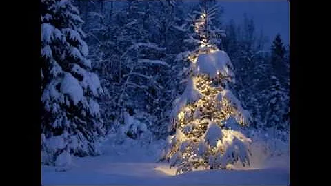 There's Still My Joy - Indigo Girls