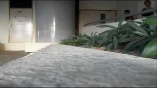 Brunei Parkour - Teamflow 60Sec