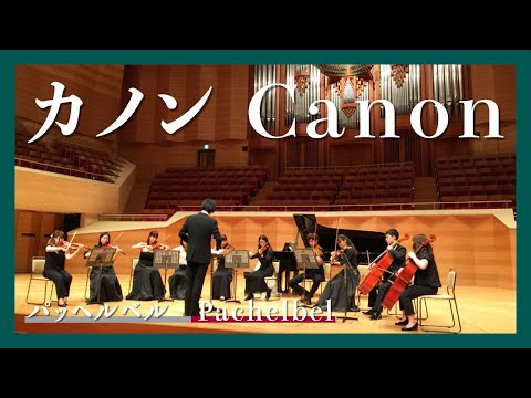パッヘルベル カノン 弦楽オーケストラ Pachelbel Canon Strings Orchestra 朝 クラ Asa Kura