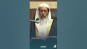 طول سترة المصلي وعرضها 
