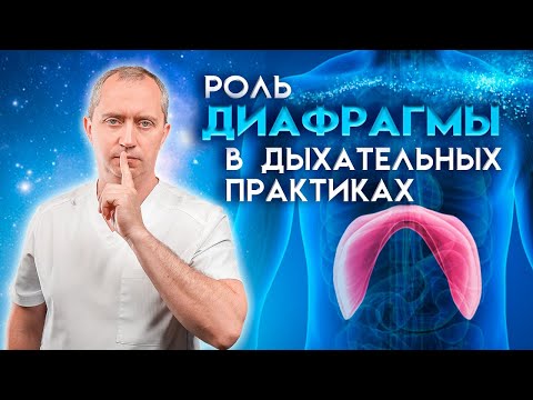 Дыхательные практики от Доктора Шишонина. Видео №1 - Роль диафрагмы в дыхательных практиках