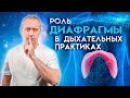 Дыхательные практики от Доктора Шишонина. Видео №1 - Роль диафрагмы в дыхательных практиках