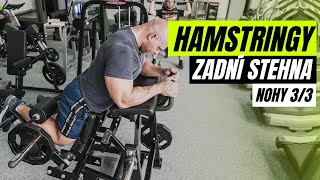 HAMSTRINGY | Zásobník cviků na zadní stehna. Jak zesílit nohy?