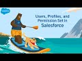 What is Users, Profiles and Permission Set? | In Hindi | Fun Way Of Learning