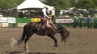 Lefty Holman of Visalia at the 2019 Livermore Rodeo