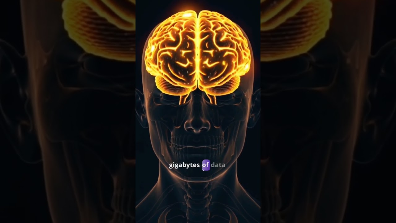 Did You Know Your Brain Can Store More Data Than the Library of Congress? 