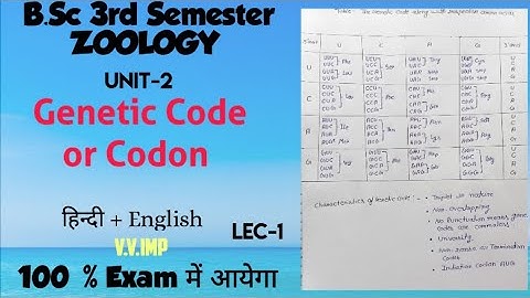 Genetic Code or Codon//B.Sc 3rd Semester Zoology 💥