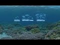 Wildlife conservation society wcs tanzania reefs 360