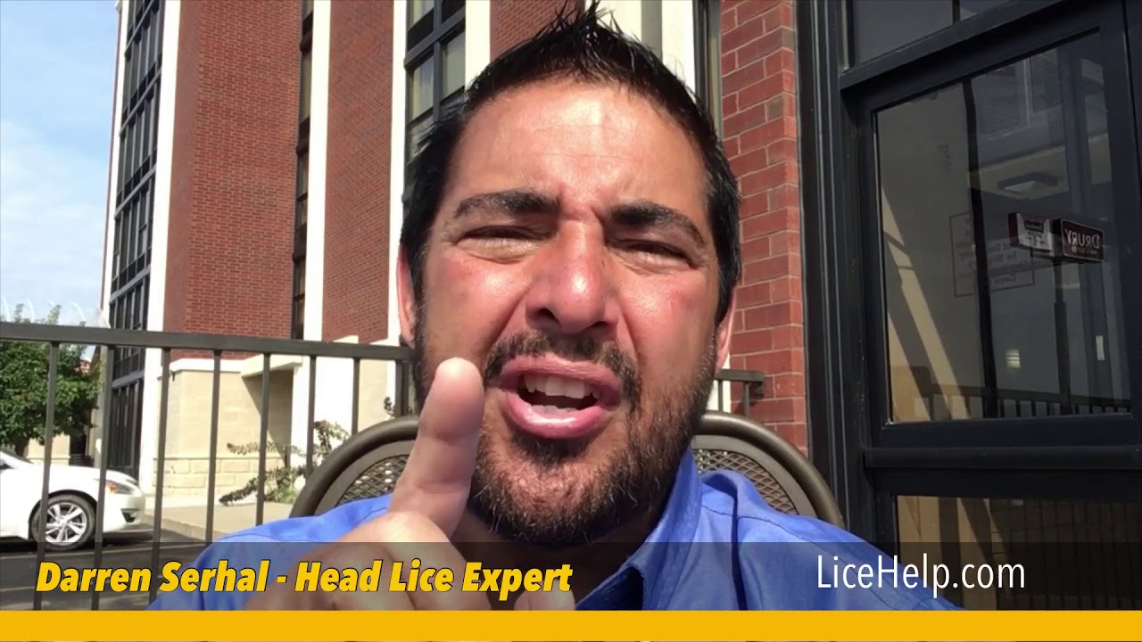 Can I get head lice from dogs, cats, pets, or stuffed animals? YouTube