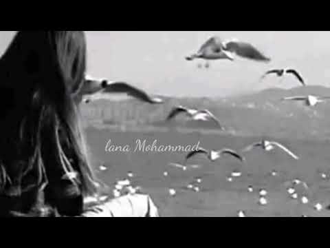 قلبي طير ومدبوح