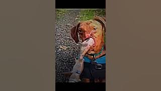 True Hero's Are On The Inside #heroic #sad