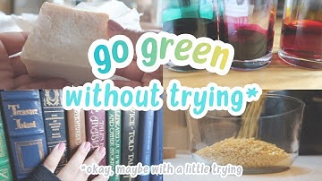 what sustainability looks like in my everyday life | 5 simple & easy swaps