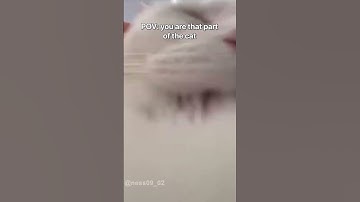 Posting random videos until I get 100k subs Day 12