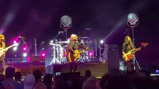 View Pixies Live Performance of Here Comes Your Man