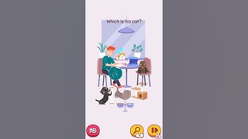 Who is Impostor Level 136 Which is his cat? Gameplay Solution Walkthrough