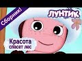 Лунтик - 😍 Красота спасет лес!🌹✨ Сборник 2017 года