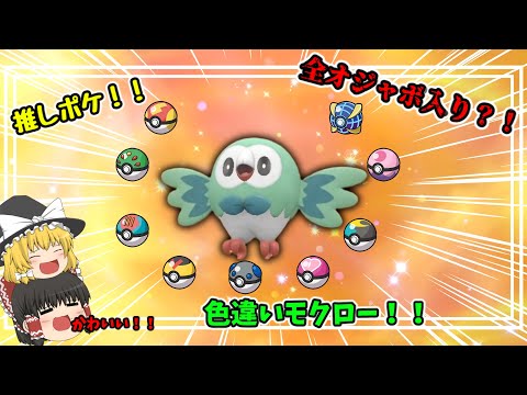 [Pokémon SV] My Absolute Favorite!! I Want to Catch a Shiny Rowlet in Every Special Ball!! [Yukku...