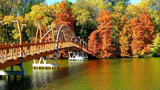 Beautiful autumn river (HD1080p)