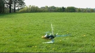 Stupid TRex 600 Crash - RC Helicopter