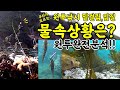 원투낚시 밑걸림.입질의순간!! 수중영상-FOX☆TV