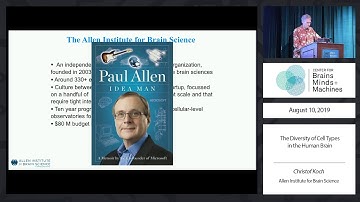 The Diversity of Cell Types in the Human Brain