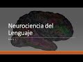 Clase Neurociencia del Lenguaje, parte 1