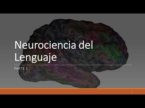 Clase Neurociencia del Lenguaje, parte 1