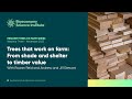Resilient trees on farm series - November 2025