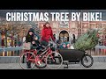 Family Christmas Tree by Bike in Amsterdam