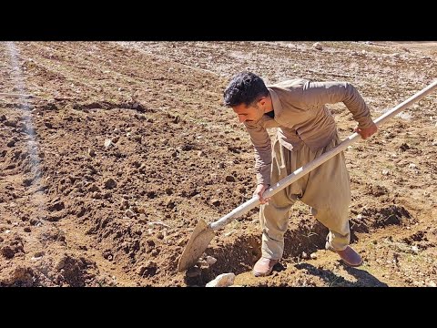 Bdone комиксы. барта симпсона выгоняют. At least. до и после свадьбы комикс. Least i am.