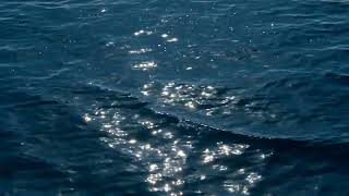 Sunlit Ocean Sparkle 4K - Shimmering Blue Water Ripples Looping Background | Free No Copyright