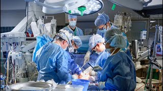 Record Number of Heart Transplants Performed