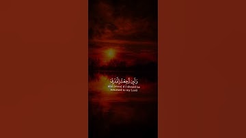 القران الكريم راحت البال والنفس والروح والقلب #اكسبلور #القرآن_الكريم #دويتو #duet #يارب #راحة_نفسية