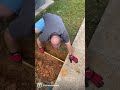 Running pipe under a sidewalk - Part 2 // Shorts