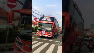TELOLET BASURI BRIS TRANS TUAN MUDA TERBARU #shorts