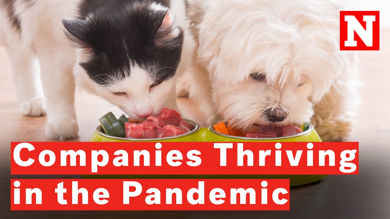 10 Companies Thriving During The Coronavirus Pandemic