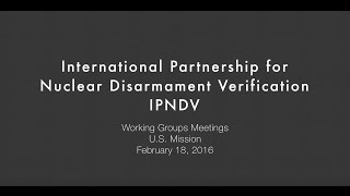 Interviews of the Co-Chairs of the Working Group Meetings of the IPNDV.