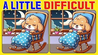 Celebrity 🧠🧩Spot the Difference with Intellect Ignite! 《A Little Difficult》 Wealth