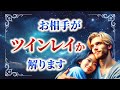 【完全版】本物ツインレイ