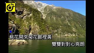 桃花開-KTV0572