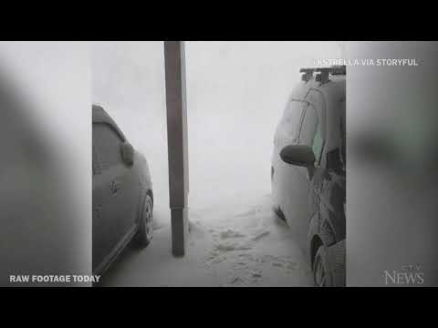 One dead after 130-car pileup on snowy Japan highway