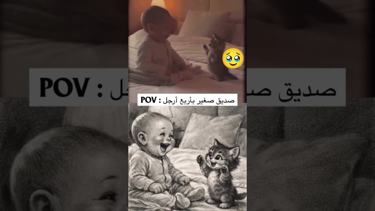 صديق صغير بأربع أرجل