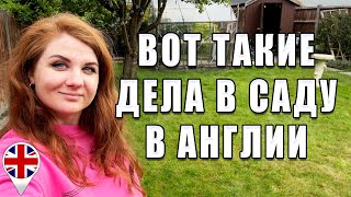 :          !