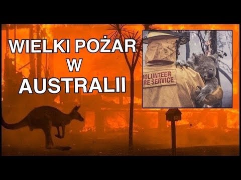 Wideo: Jak Możesz Pomóc Australijskim Wysiłkom Na Rzecz Niesienia Pomocy Pożarom Buszu