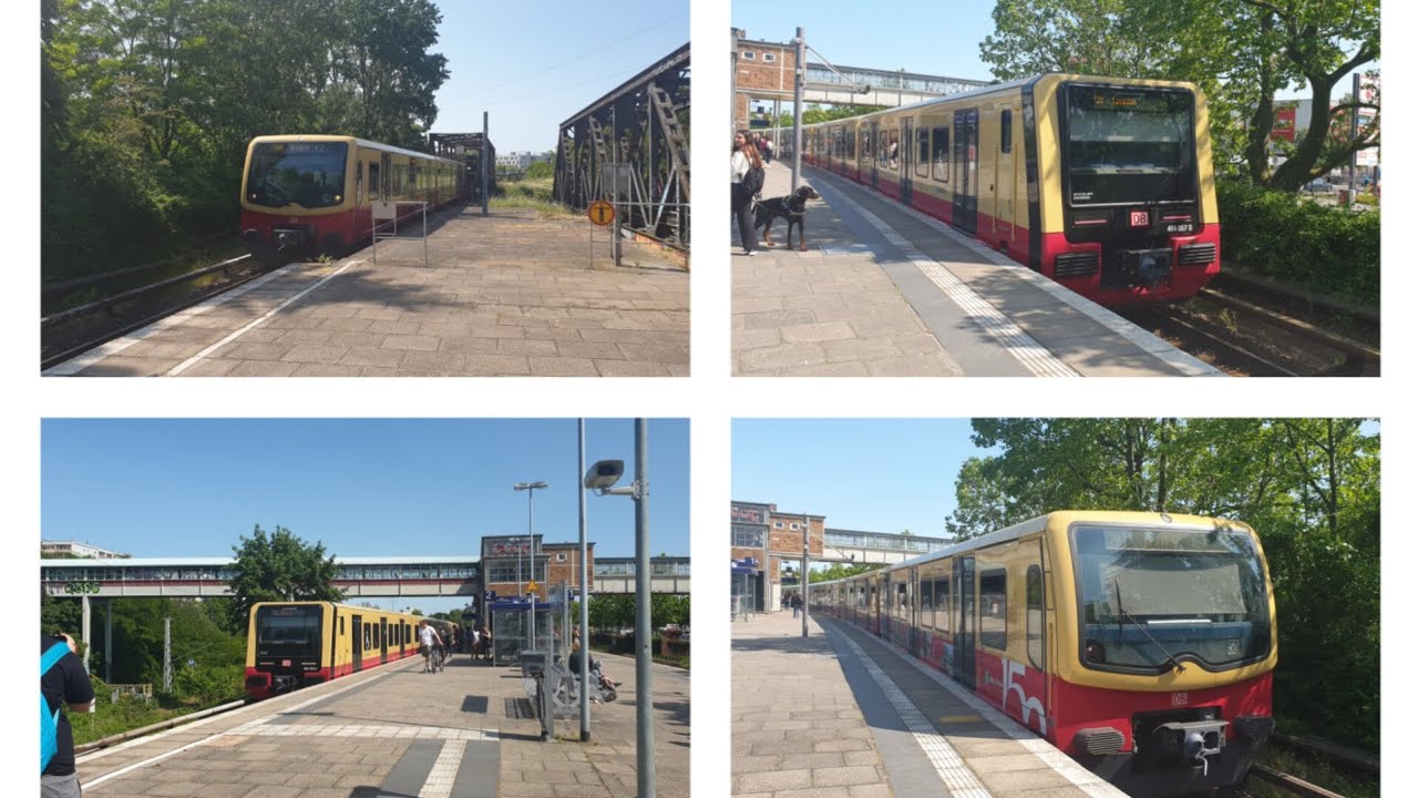 S-Bahn Berlin|Züge am Bahnhof Storkower Straße [nur S41/S42/S8!]