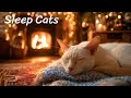 Cat Anxiety Relief Music 🐾 Peaceful Sleep &amp; Comforting Sounds for Calm and Relaxation