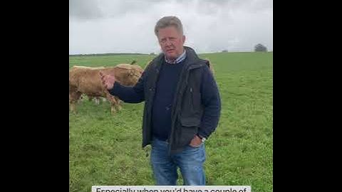 Advantage Feeder Ireland - Part 1