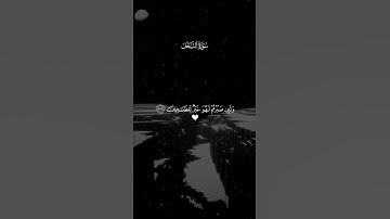 سورة النحل #اكسبلور #تلاوة_خاشعة #قران_كريم_بصوت_جميل_جدا #المصحف #trending