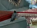 آهنگ طعنه از مهستی آهنگ طعنه از مهستی