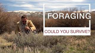 Foraging 101: Could You Survive? 🌿🍄